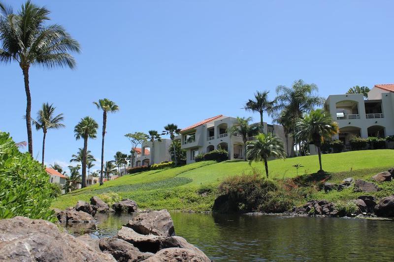 Looking up from the lagoon to the Palms at Wailea condo buildings